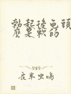 勃起后龟头为什么是软的