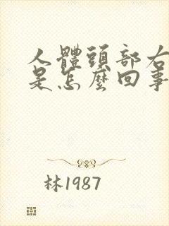 人体头部右边疼是怎么回事