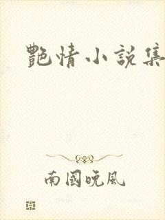 艳情小说集封面