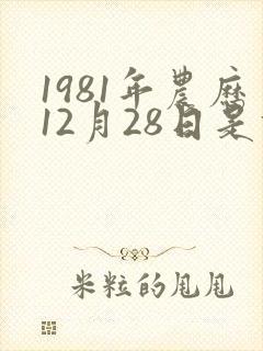 1981年农历12月28日是什么命