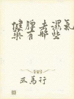 健脾去湿气中成药有哪些