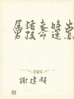 属猪未时出生的男孩命运怎么样