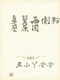 鼻翼两侧粉刺什么原因