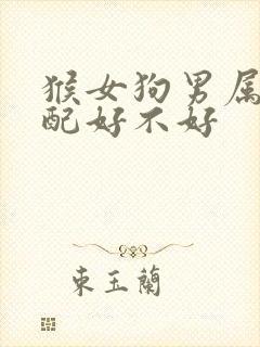 猴女狗男属相婚配好不好