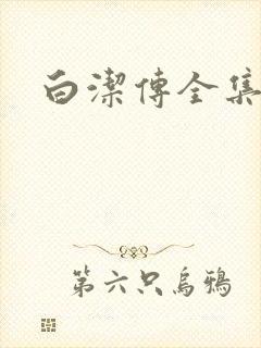 白洁传全集