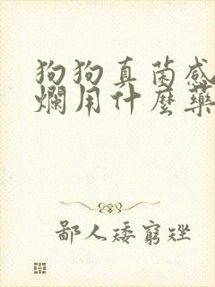 狗狗真菌感染溃烂用什么药