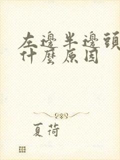 左边半边头疼是什么原因