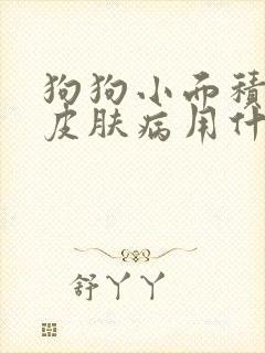 狗狗小面积真菌皮肤病用什么药