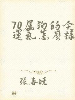 70属狗的今年运气怎么样