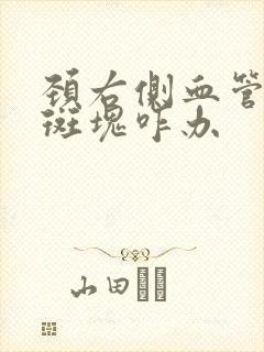 颈右侧血管里有斑块咋办