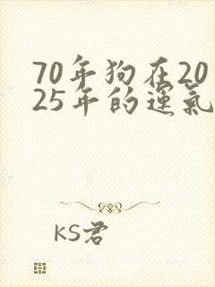 70年狗在2025年的运气