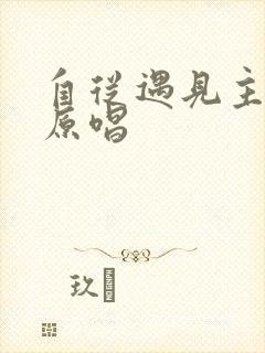 自从遇见主歌曲原唱