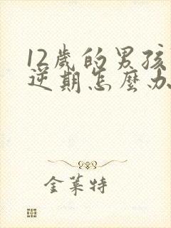 12岁的男孩叛逆期怎么办封面