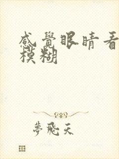 感觉眼睛看东西模糊封面