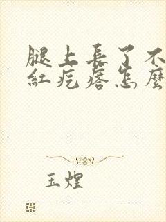 腿上长了不少小红疙瘩怎么治封面
