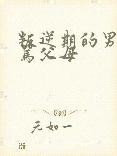 叛逆期的男孩子骂父母
