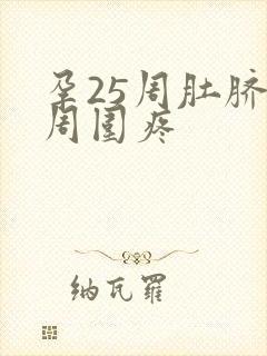 孕25周肚脐眼周围疼