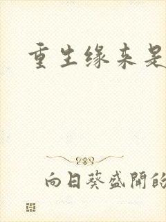 重生缘来是你