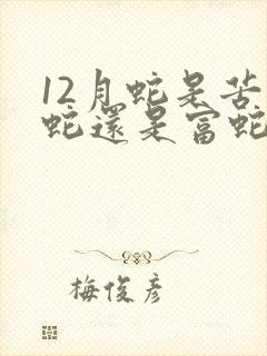 12月蛇是苦命蛇还是富蛇