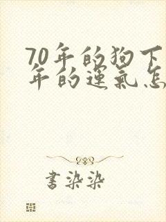 70年的狗下半年的运气怎么样封面