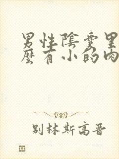 男性阴囊里为什么有小的肉粒