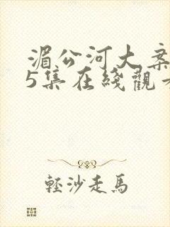 湄公河大案第25集在线观看封面