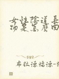 女性阴道长赘生物是怎么回事