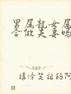 男属龙女属蛇适合做夫妻吗