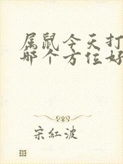 属鼠今天打牌坐哪个方位好