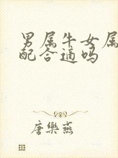 男属牛女属兔婚配合适吗