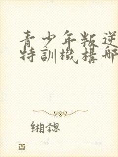 青少年叛逆矫正特训机构哪家好