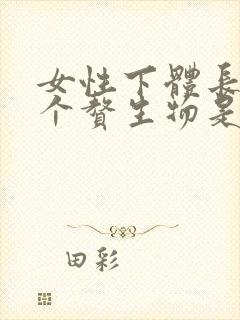 女性下体长了两个赘生物是怎么回事封面