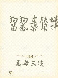 狗狗皮肤螨虫真菌感染用什么药
