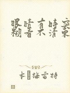 眼睛有时突然模糊看不清东西是什么原因