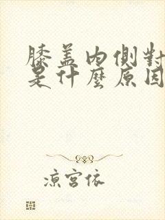 膝盖内侧对应痛是什么原因封面