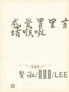 感觉胃里有东西堵喉咙封面