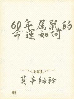 60年属鼠的人命运如何
