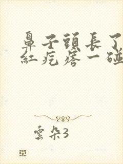 鼻子头长了个大红疙瘩一碰就疼