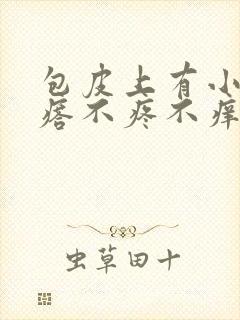 包皮上有小白疙瘩不疼不痒