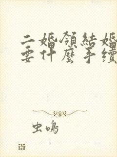 二婚领结婚证需要什么手续封面