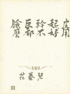 脸巨干起皮擦什么都不好用