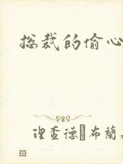 总裁的偷心娇妻