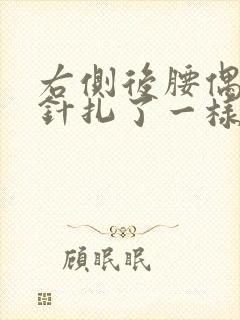 右侧后腰偶尔像针扎了一样刺痛