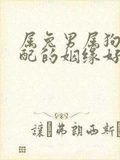 属兔男属狗女相配的姻缘好吗