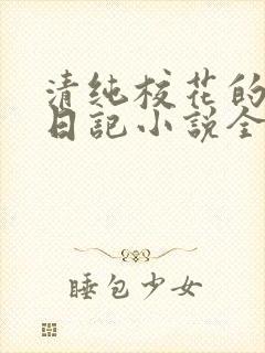 清纯校花的堕落日记小说全文免费阅读封面