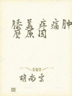 膝盖疼痛肿痛什么原因