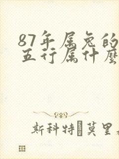 87年属兔的人五行属什么,什么命