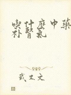 吃什么中药可以补肾气