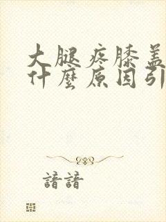 大腿疼膝盖疼是什么原因引起的封面