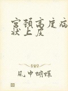 宫颈高度病变鳞状上皮